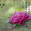 ˇg(sh)(chung)