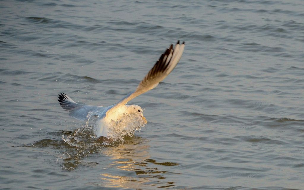 DSC_5577.JPG