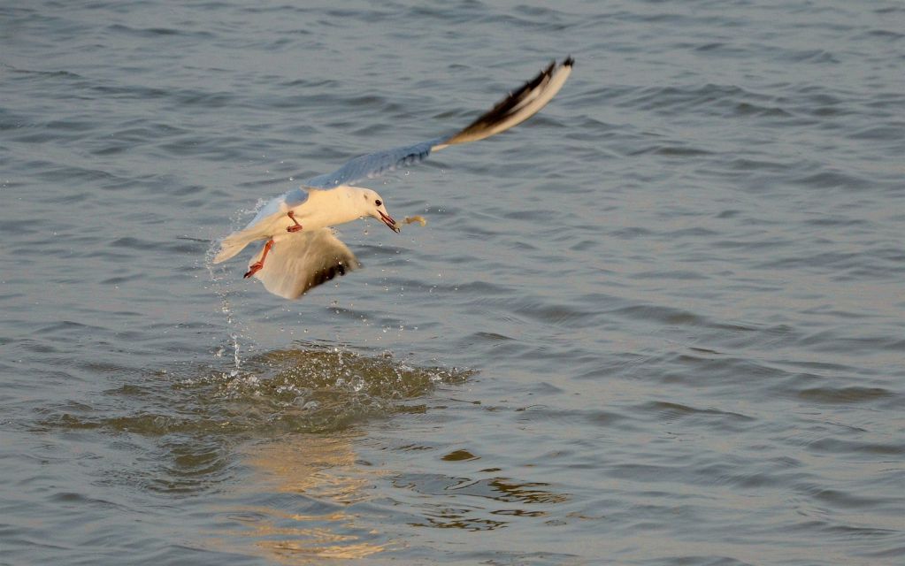 DSC_5578.JPG