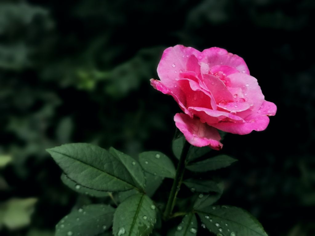 psb (84).jpg