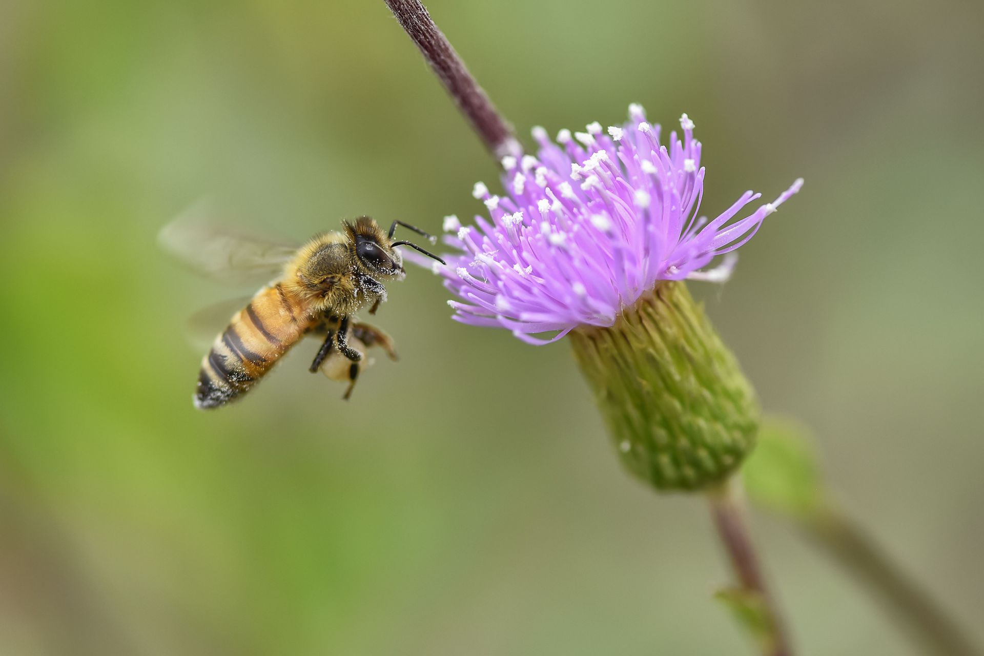 ۷_DSC8441.jpg