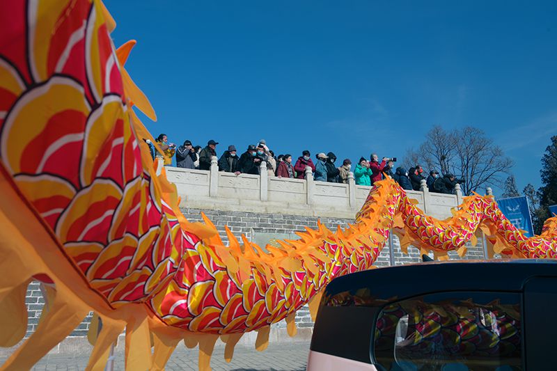 DSC_6664x.jpg