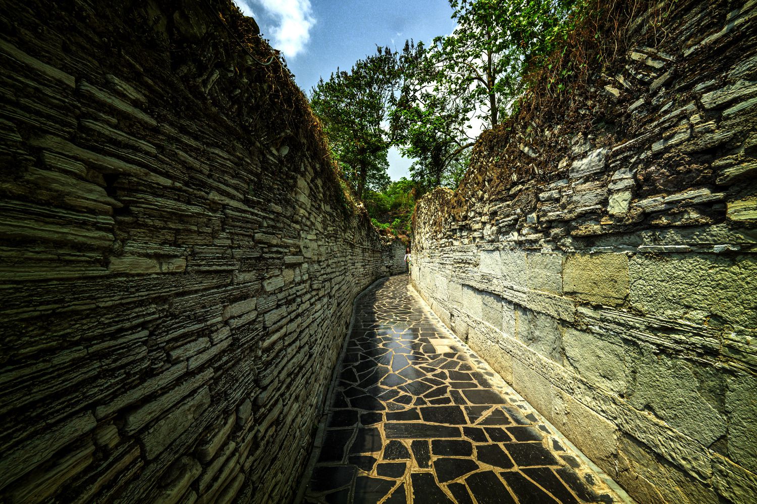 DSC_2942- ؐ.jpg